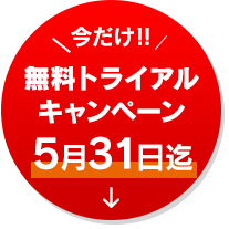 トライアルキャンペーン
